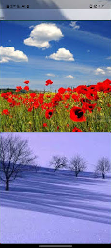 snow wallpapers Screen 3