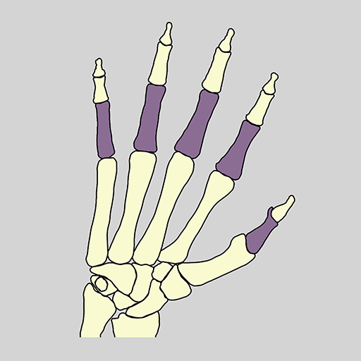 Bones of the body logo