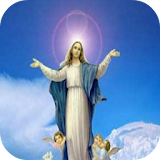 Virgen Maria para Ti icon