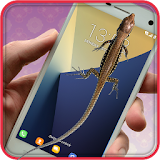Lizard On Screen Prank icon