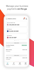 Payoneer for PC 1
