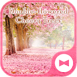 Cute Wallpaper Double-flowered Cheery Trees Theme icon
