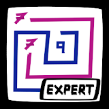 Draw the lines Expert -Arukone icon