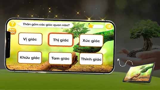 Sách 3 Gốc