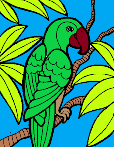 Coloring Birds 2.0.0 APK + Mod (Free purchase) for Android