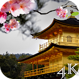 Sakura Live Wallpaper 4K icon