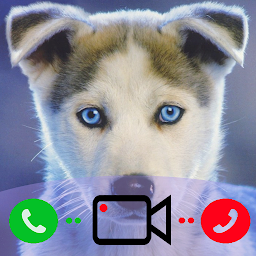Icon image Fake Call From Dog