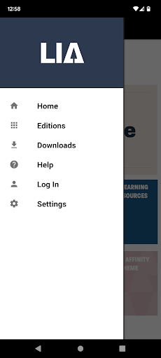LIA.ie Screen 2