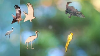 Puzzle Game Animals for Kids - Screenshot 1