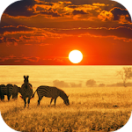 Cover Image of Tải xuống AFRICA. WORLD WALLPAPER  APK