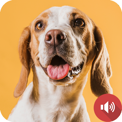 Barking Dog Sounds Logo