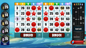 Game screenshot Mega Bingo apk download