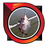 Cover Image of ดาวน์โหลด accurate bait freshwater fish 5.0 APK