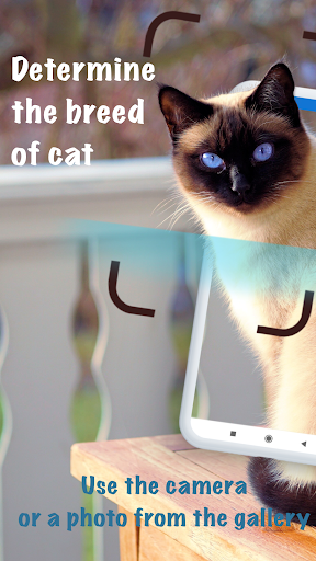 Android application Cat breeds - Smart Identifier screenshort