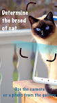 screenshot of Cat breeds - Smart Identifier