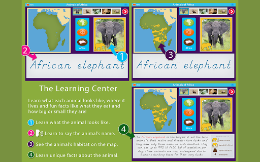 Animals of Africa - Montessori