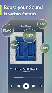 Offline Music Player – Weezer MOD APK (Premium Unlocked) 4