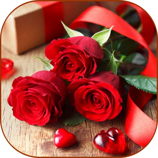 Flowers Pictures 5.0 Icon