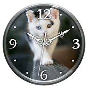 Cat Clock Live Wallpaper  Icon