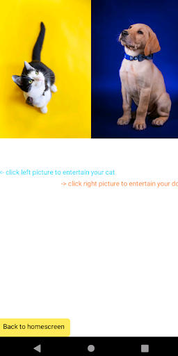Entertain your Cat and Dog Screen 3