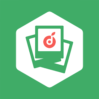 Deleted File Recovery - Photos apk