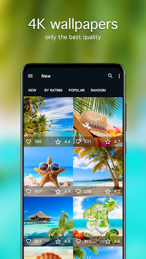Screenshot of Vacation Wallpapers 4K
