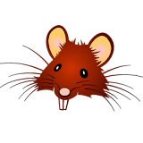 Splat the Rat icon