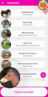 Horse Quiz Game 2020