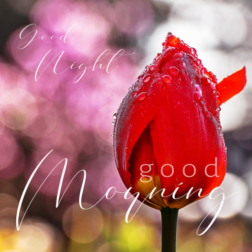Good Morning logo