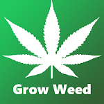 Cover Image of Download Grow Weed Farm:Cannabis Plants  APK