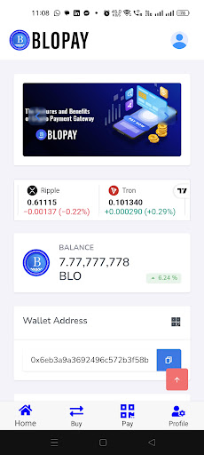 Android application BLOPAY screenshort