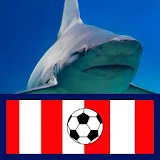 El Tiburón - Fútbol del Junior icon