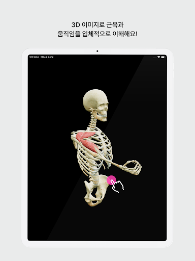 아나토미마스터 - 이파마스터가 만든 해부학 암기앱 Screenshot