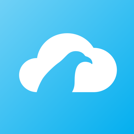 RavenCloud logo