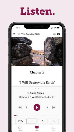 Concise Bible Screen 3