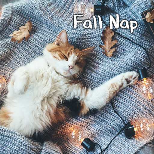 Fall Nap Theme 1.0.11 Icon