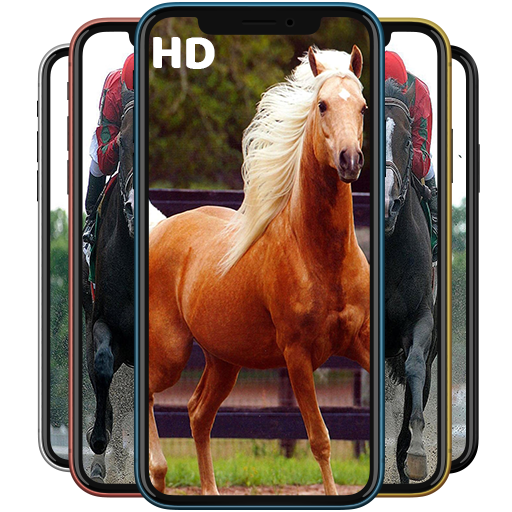 Horse Wallpapers