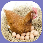 Top 13 Productivity Apps Like cultivation of laying hens - Best Alternatives