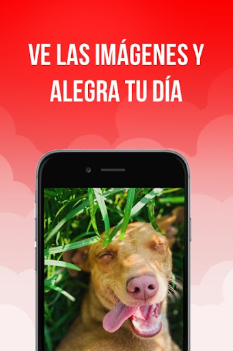 Android application Imagenes de Felicidad screenshort