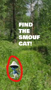 Find The SoufCat!