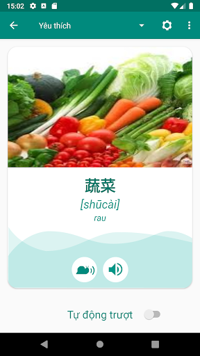 Vietnamese French Dictionary Screen 3
