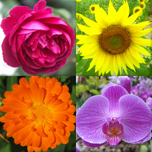 Flowers Quiz - Identify Plants  Icon