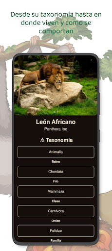 ZooDex Screen 3