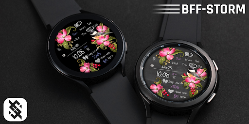 BFF62- Blackboard Art Bird screenshot 13