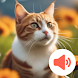 猫の鳴き声: かわいい鳴き声と着信音 - Androidアプリ