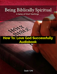 Icon image How To: Love God Successfully Audiobook