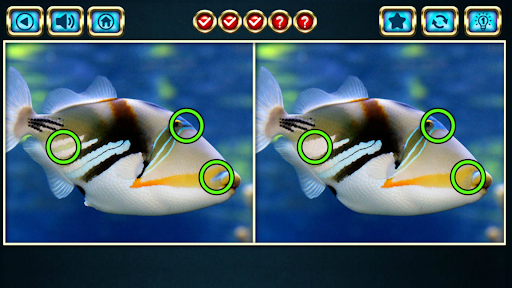 Spot The Difference Screen 2