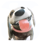Puppy Licks Screen Animation icon