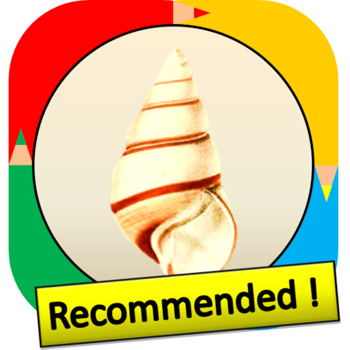 Color by Number - shell logo