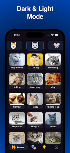 Dog and Cat Translator Prank